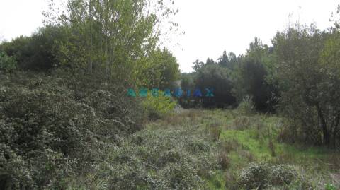 ANG593 - Terreno com 550m2 para Venda em Pombal