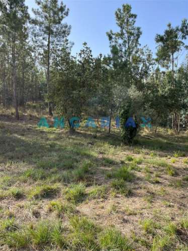 ANG583 - Terreno de 3000m2 para Venda em Zambujo, Leiria