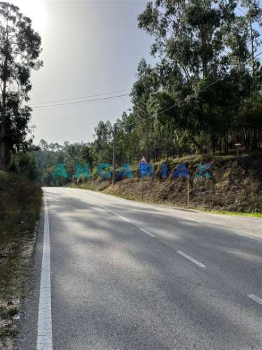 ANG583 - Terreno de 3000m2 para Venda em Zambujo, Leiria