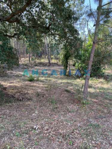 ANG583 - Terreno de 3000m2 para Venda em Zambujo, Leiria