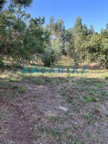 ANG583 - Terreno de 3000m2 para Venda em Zambujo, Leiria