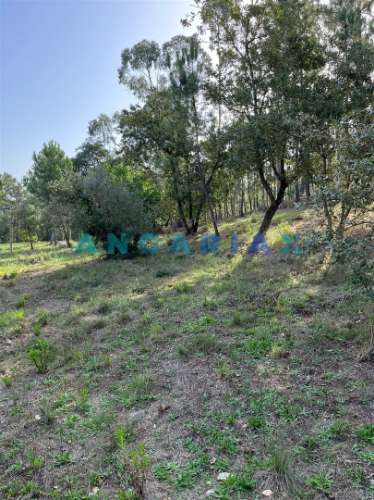 ANG583 - Terreno de 3000m2 para Venda em Zambujo, Leiria