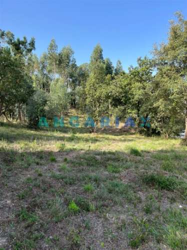 ANG583 - Terreno de 3000m2 para Venda em Zambujo, Leiria