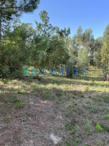 ANG583 - Terreno de 3000m2 para Venda em Zambujo, Leiria