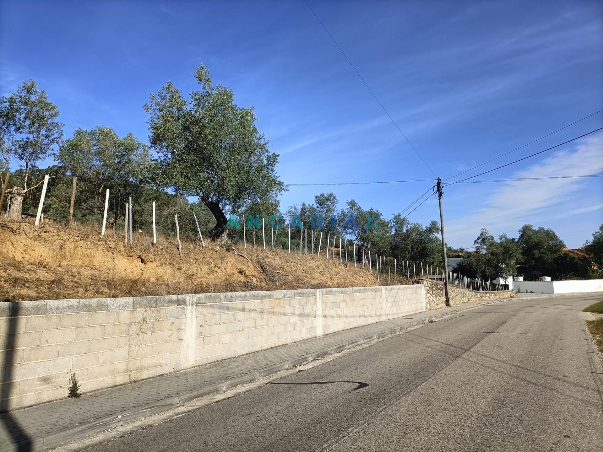ANG627 - Terreno de 539m2 para Venda em Milagres, Leiria