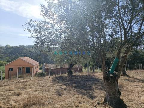 ANG627 - Terreno de 539m2 para Venda em Milagres, Leiria