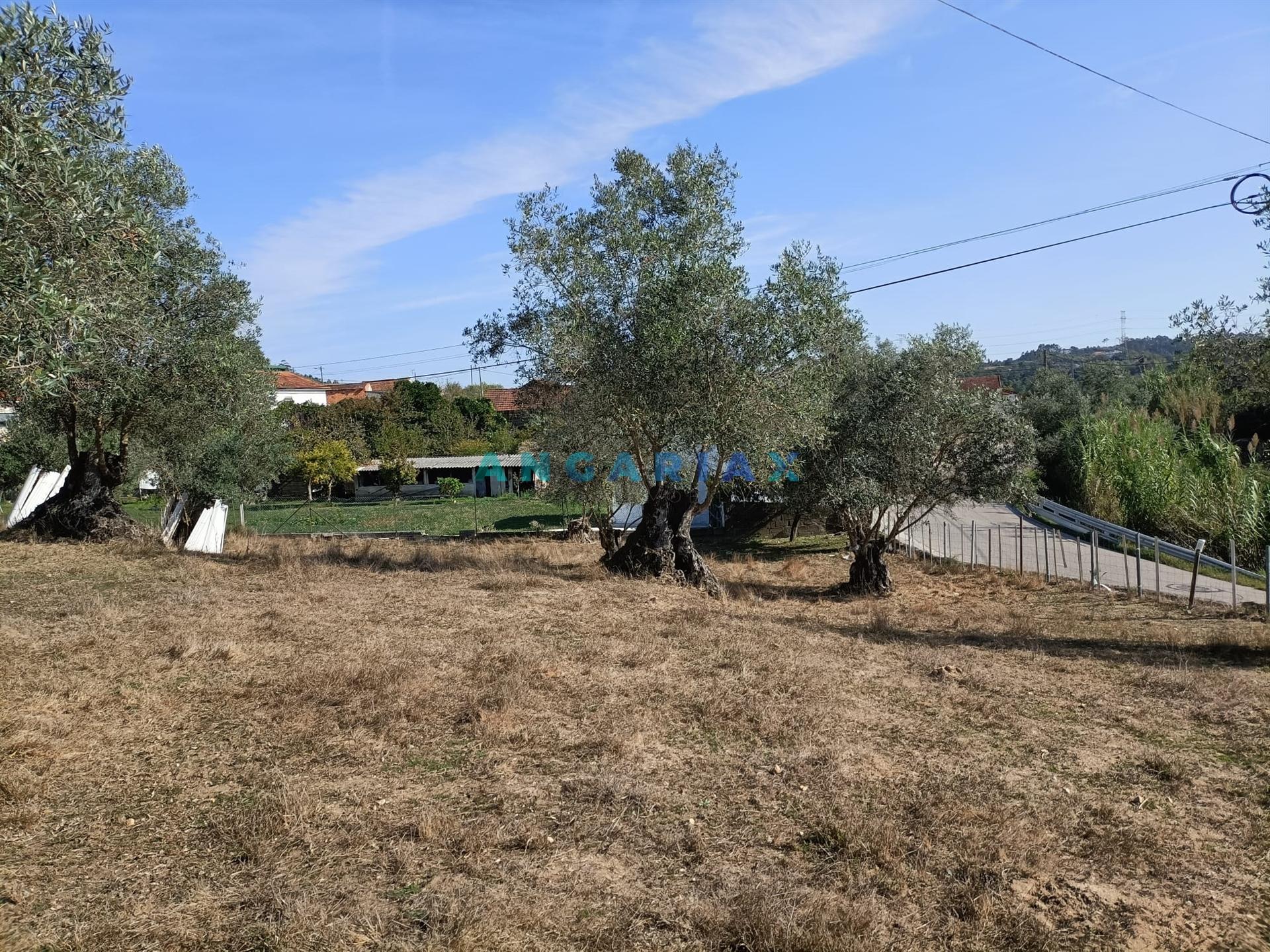 ANG627 - Terreno de 539m2 para Venda em Milagres, Leiria