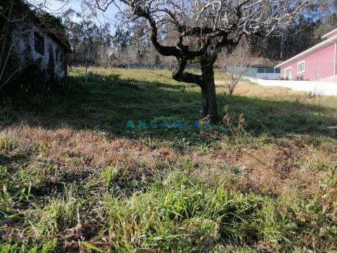 ANG712 - Lote de Terreno de 950m2  para Venda em Alcaidaria , Milagres