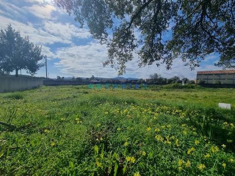 ANG726 - Terreno de 2500m2 para Venda em Porto de Mós