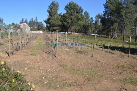 ANG747 - Terreno de 17200m2 para Venda em Figueiró dos Vinhos, Leiria