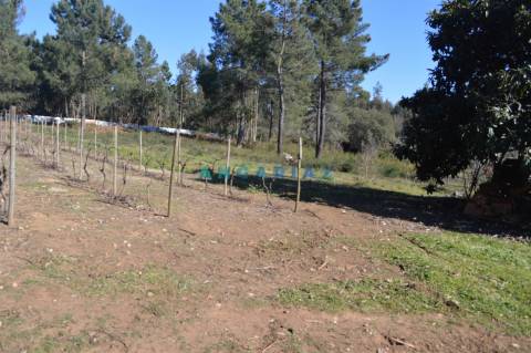 ANG747 - Terreno de 17200m2 para Venda em Figueiró dos Vinhos, Leiria