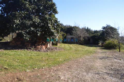 ANG747 - Terreno de 17200m2 para Venda em Figueiró dos Vinhos, Leiria