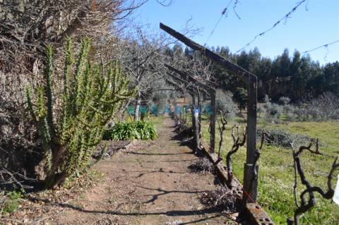 ANG747 - Terreno de 17200m2 para Venda em Figueiró dos Vinhos, Leiria