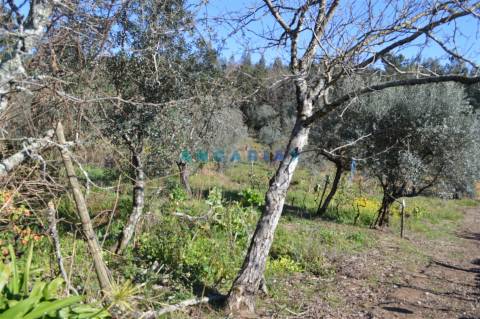 ANG747 - Terreno de 17200m2 para Venda em Figueiró dos Vinhos, Leiria