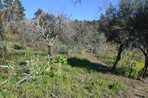 ANG747 - Terreno de 17200m2 para Venda em Figueiró dos Vinhos, Leiria