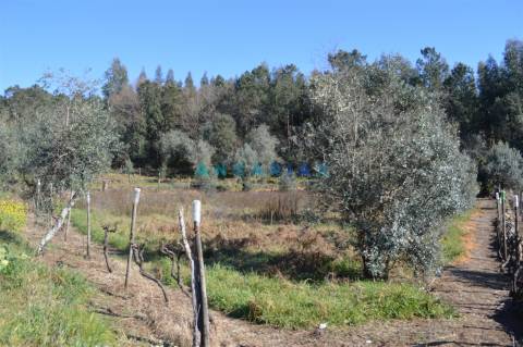 ANG747 - Terreno de 17200m2 para Venda em Figueiró dos Vinhos, Leiria