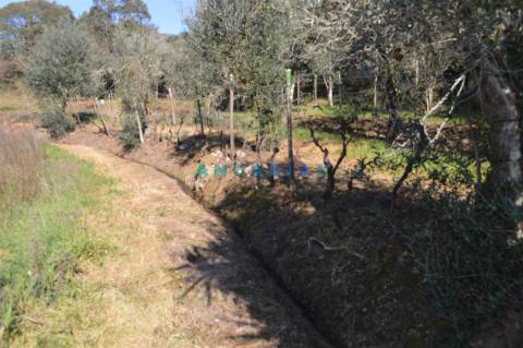 ANG747 - Terreno de 17200m2 para Venda em Figueiró dos Vinhos, Leiria