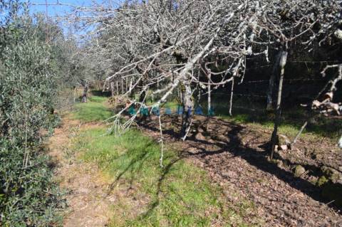 ANG747 - Terreno de 17200m2 para Venda em Figueiró dos Vinhos, Leiria