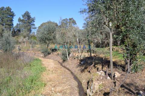 ANG747 - Terreno de 17200m2 para Venda em Figueiró dos Vinhos, Leiria