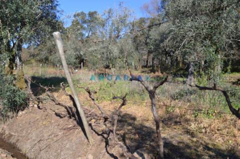 ANG747 - Terreno de 17200m2 para Venda em Figueiró dos Vinhos, Leiria
