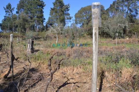 ANG747 - Terreno de 17200m2 para Venda em Figueiró dos Vinhos, Leiria