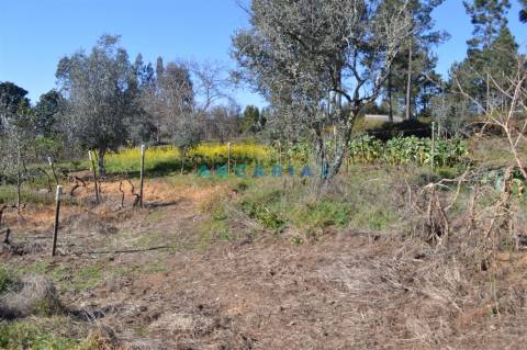ANG747 - Terreno de 17200m2 para Venda em Figueiró dos Vinhos, Leiria
