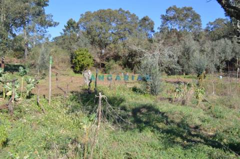 ANG747 - Terreno de 17200m2 para Venda em Figueiró dos Vinhos, Leiria