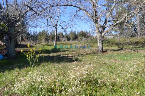 ANG747 - Terreno de 17200m2 para Venda em Figueiró dos Vinhos, Leiria