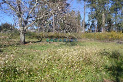 ANG747 - Terreno de 17200m2 para Venda em Figueiró dos Vinhos, Leiria