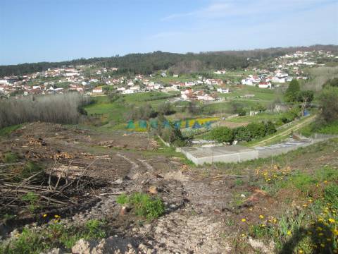 ANG786 - Terreno com 1110m2 para Venda em Colmeias, Leiria