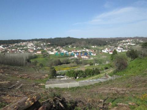 ANG786 - Terreno com 1110m2 para Venda em Colmeias, Leiria
