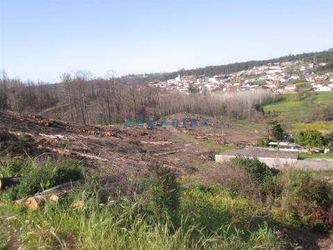 ANG786 - Terreno com 1110m2 para Venda em Colmeias, Leiria