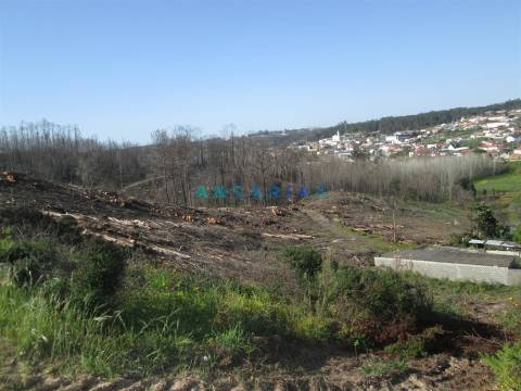 ANG786 - Terreno com 1110m2 para Venda em Colmeias, Leiria