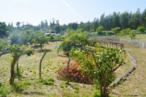 ANG863 - Moradia T3 para Venda em Figueiró dos Vinhos, Leiria