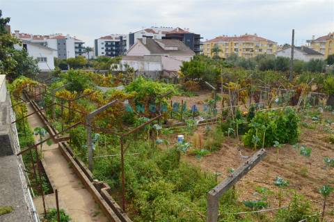 ANG901 - Terreno Urbano para Venda no Entroncamento