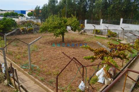 ANG901 - Terreno Urbano para Venda no Entroncamento