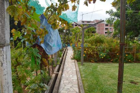 ANG901 - Terreno Urbano para Venda no Entroncamento