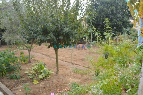 ANG901 - Terreno Urbano para Venda no Entroncamento