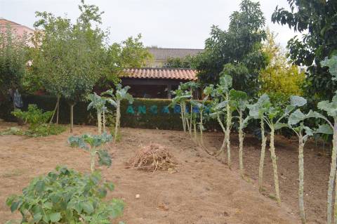 ANG901 - Terreno Urbano para Venda no Entroncamento