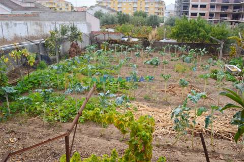 ANG901 - Terreno Urbano para Venda no Entroncamento