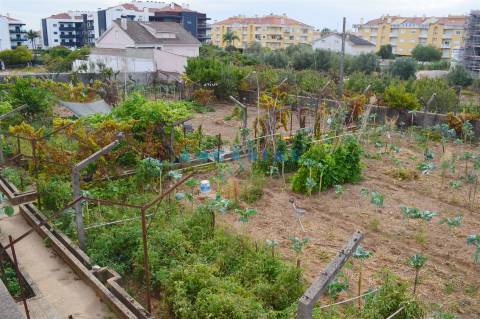 ANG901 - Terreno Urbano para Venda no Entroncamento