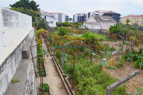 ANG901 - Terreno Urbano para Venda no Entroncamento