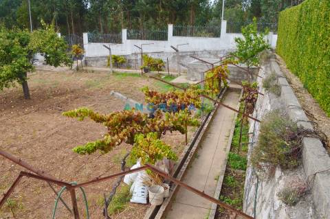 ANG901 - Terreno Urbano para Venda no Entroncamento