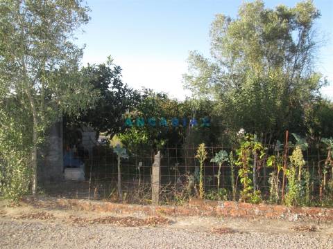 ANG930 - Terreno para Venda em Valongo, Colmeias