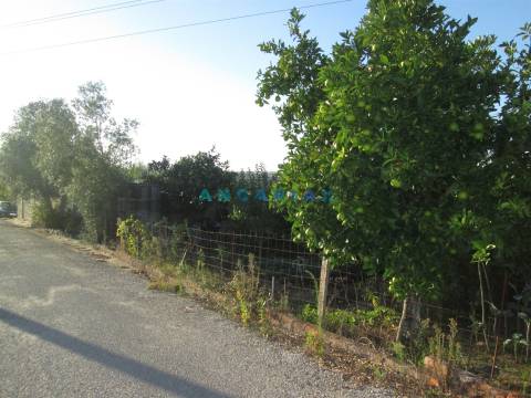 ANG930 - Terreno para Venda em Valongo, Colmeias