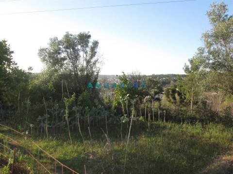 ANG930 - Terreno para Venda em Valongo, Colmeias