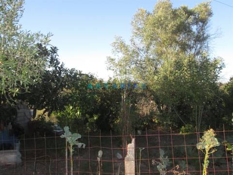 ANG930 - Terreno para Venda em Valongo, Colmeias