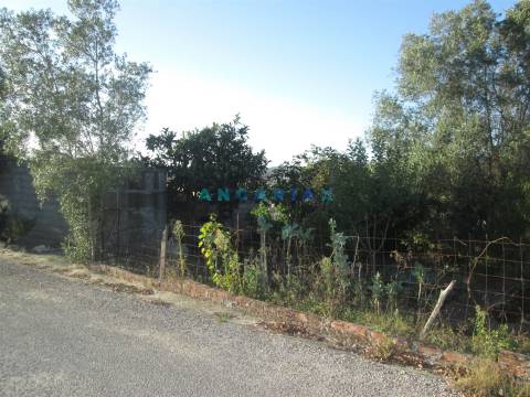 ANG930 - Terreno para Venda em Valongo, Colmeias