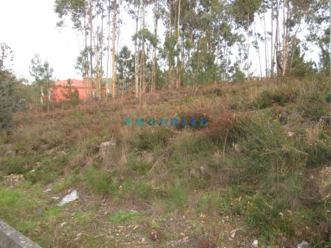 ANG933 - Terreno para Construção com 2664m2 para Venda em Colmeias, Leiria