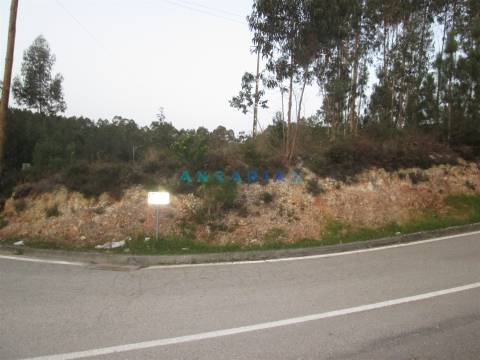 ANG933 - Terreno para Construção com 2664m2 para Venda em Colmeias, Leiria